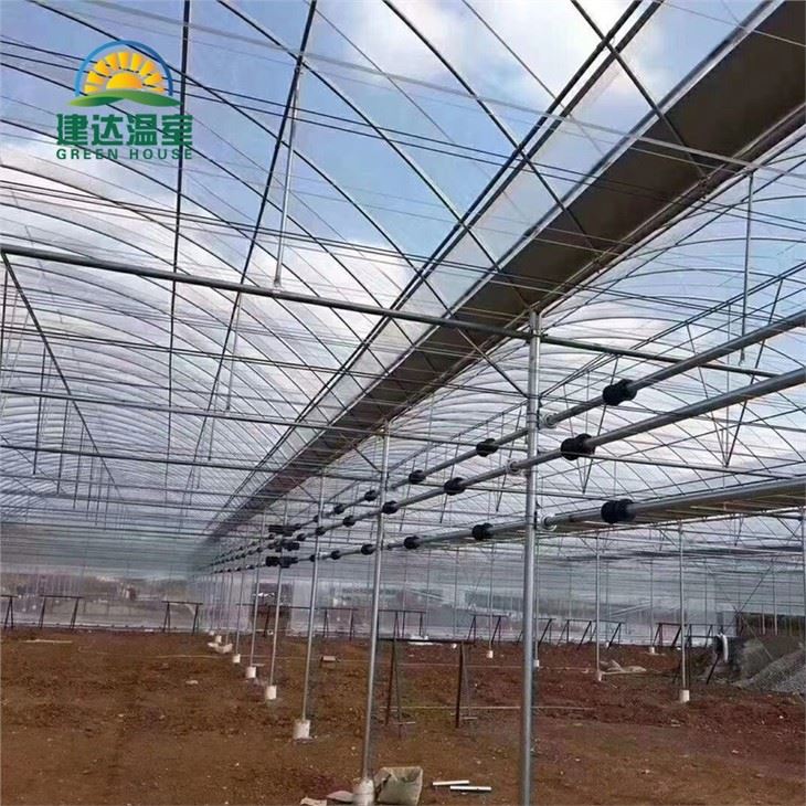 Film Greenhouse