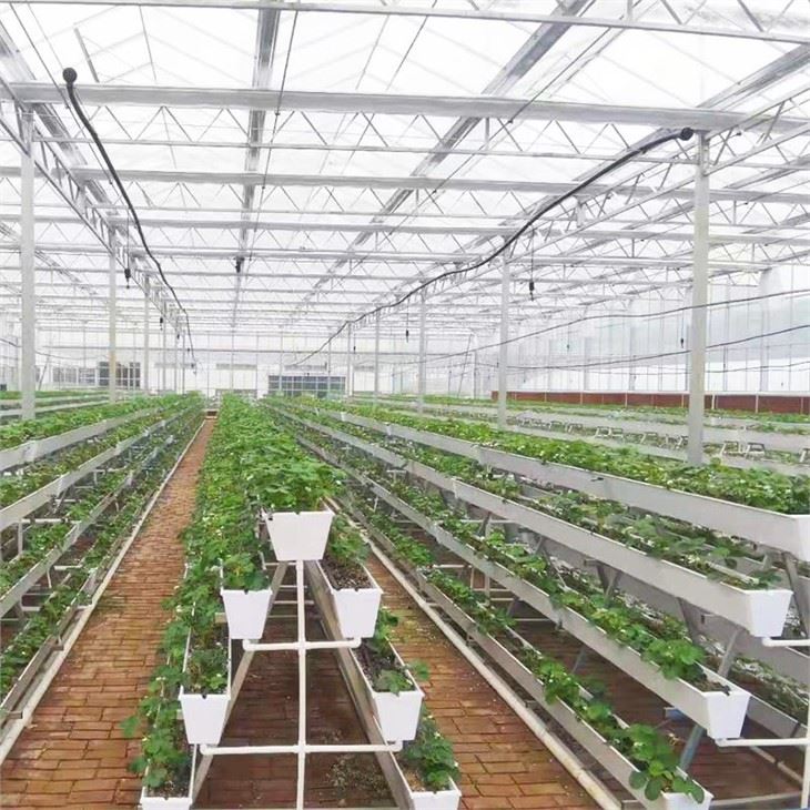 Hydroponic gróðurhús með PVC gróðursetningu trog