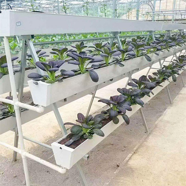 Hydroponics Growing Gutters China