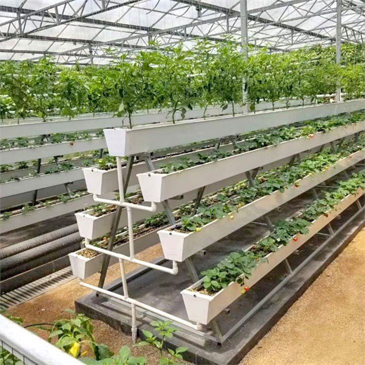 Hydroponics Growing Gutters green house