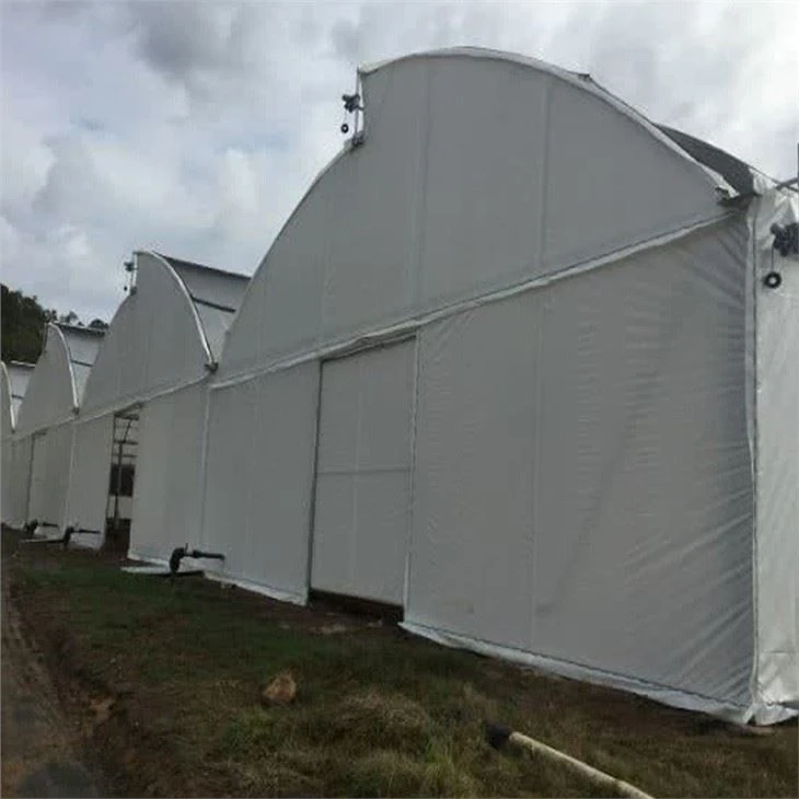 Film Greenhouse Glass Greenhouse PC Greenhouse With Irrigation Hydroponic System For Mushroom Vegetable