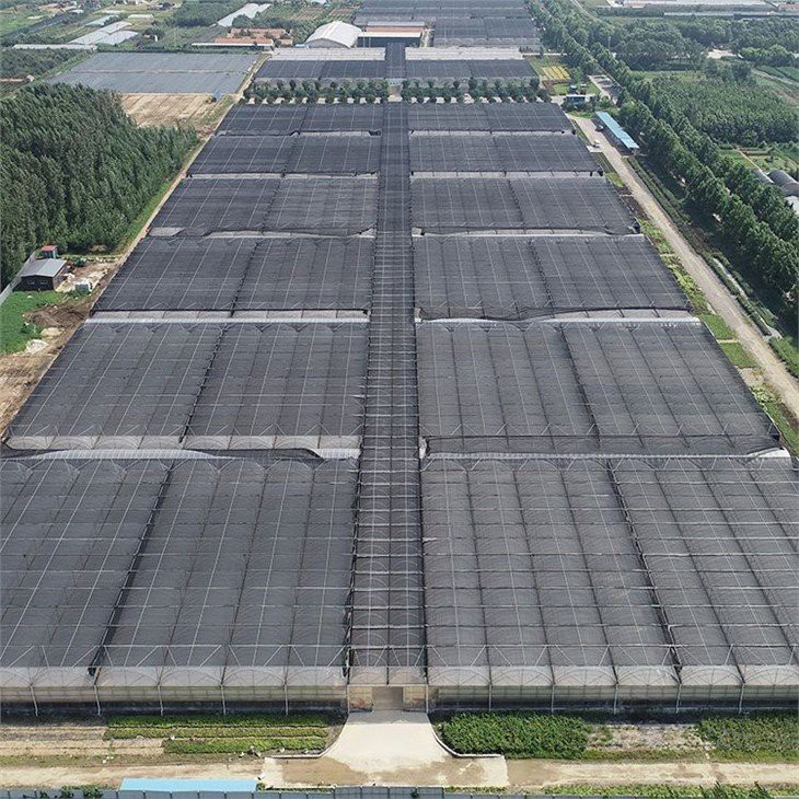 12 hectares muti span green house(001)