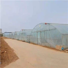 Kvikmynd Single Span Greenhouse