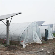 Tunnel Green House