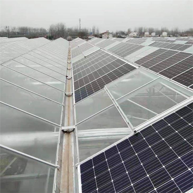 Solar Panel Greenhouse