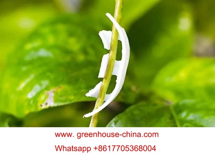 Tomato Plant Support Clips
