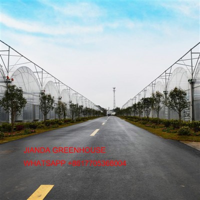 Kvikmynd Greenhouse Feature
