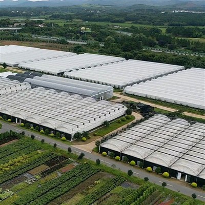 Jianda Multi - span kvikmynd gróðurhús