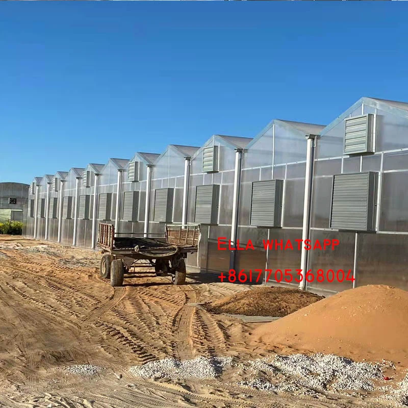 greenhouse price greenhouse price