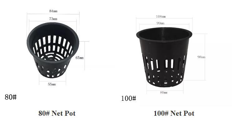 news-747-390 news-747-390