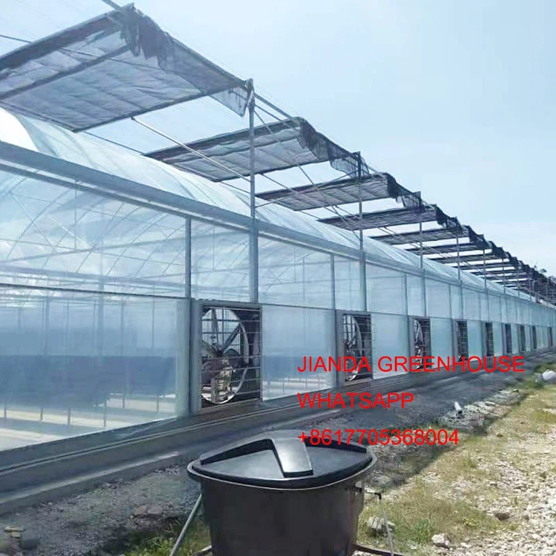 FILM GREENHOUSE 1 FILM GREENHOUSE 1